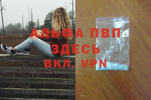 скорость Белокуриха