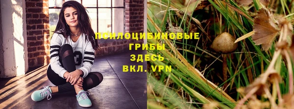 скорость Белокуриха