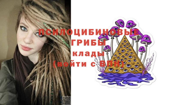 скорость Белокуриха