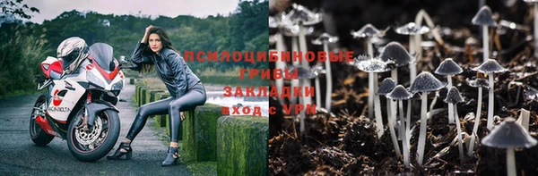 скорость Белокуриха