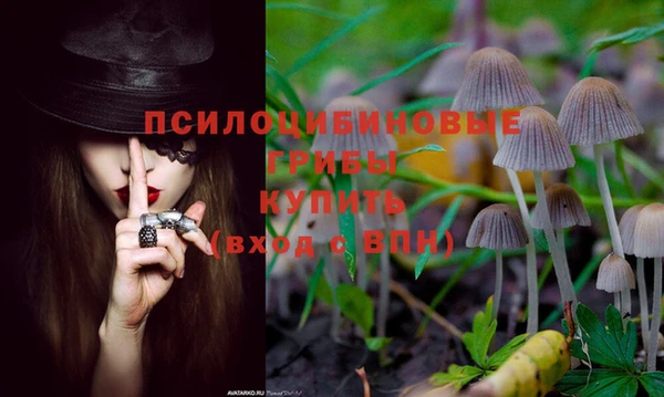 скорость Белокуриха