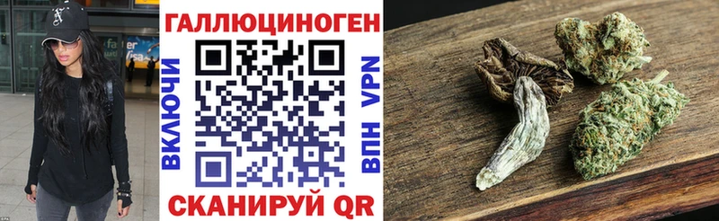 хочу   Макарьев  Псилоцибиновые грибы GOLDEN TEACHER 